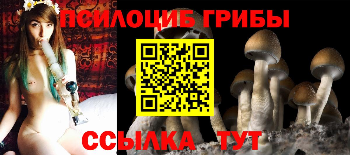 Галлюциногенные грибы Psilocybe  Псилоцибиновые грибы ЛСД  Вход с VPN  Буйнакск 