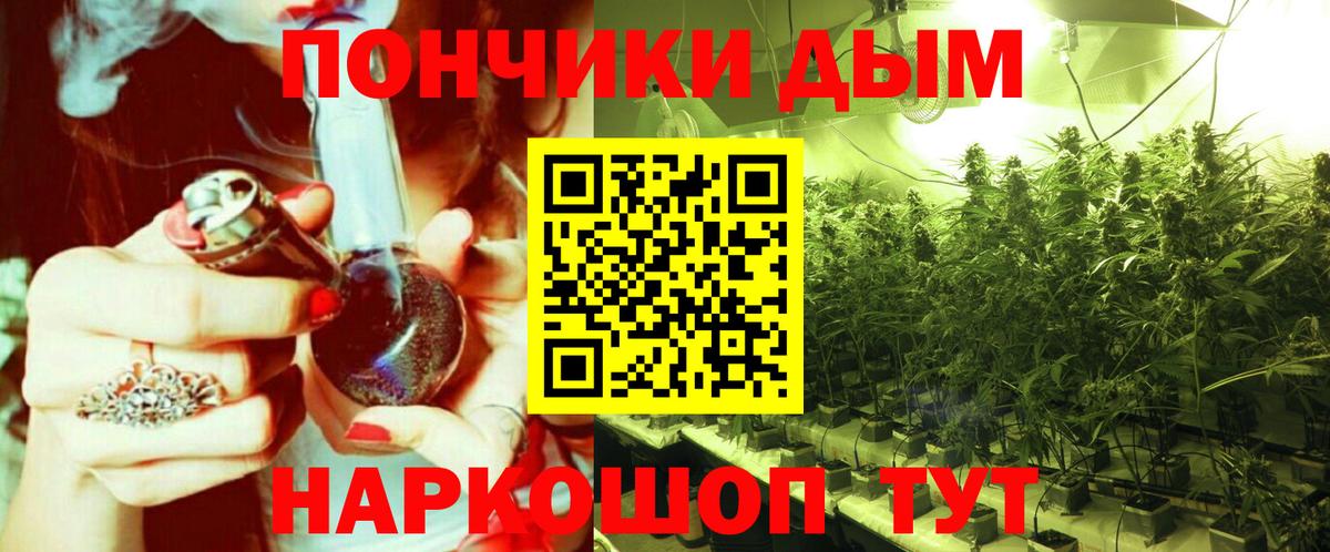 Бошки марихуана THC 21% Буйнакск